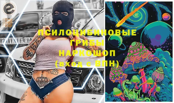 кокс Вяземский