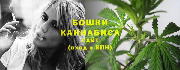 бошки Вязьма