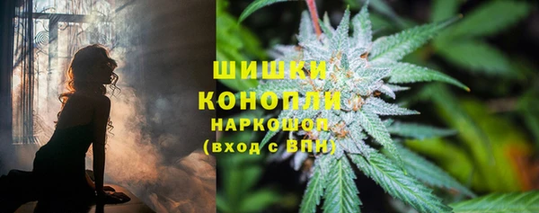 кокс Вяземский